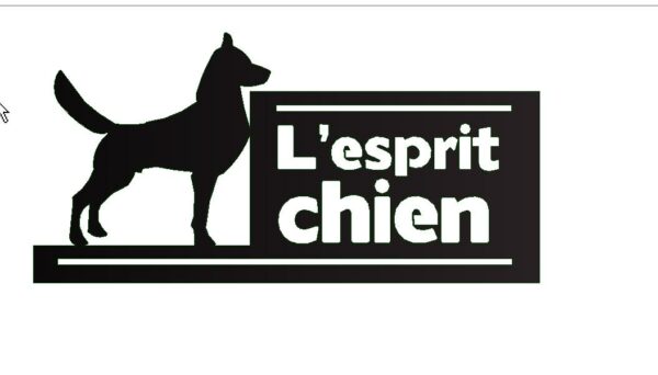 Ensemble de 2 enseignes personnalisées