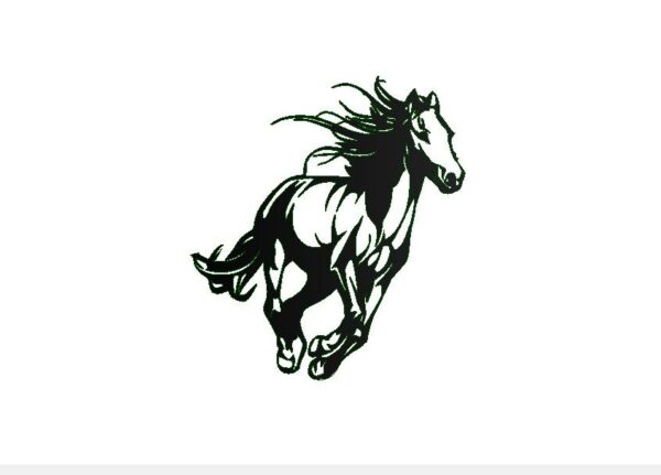 CHEVAL au galop