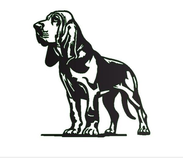 Chien ST HUBERT