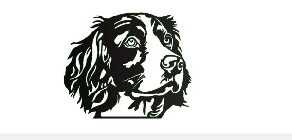 Tète de SPRINGER SPANIEL